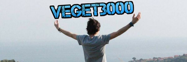 veget3000 Profile Banner