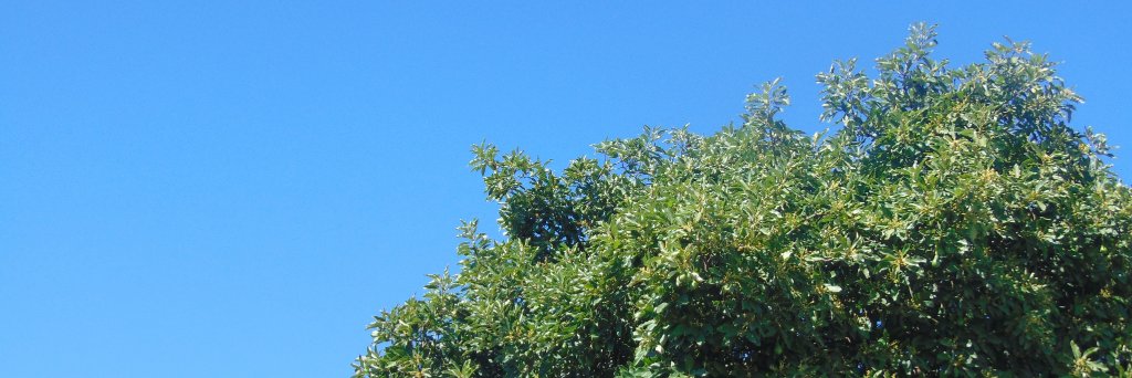 claudiorm1997's profile banner image
