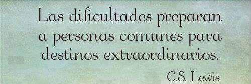 Elisa Domínguez banner