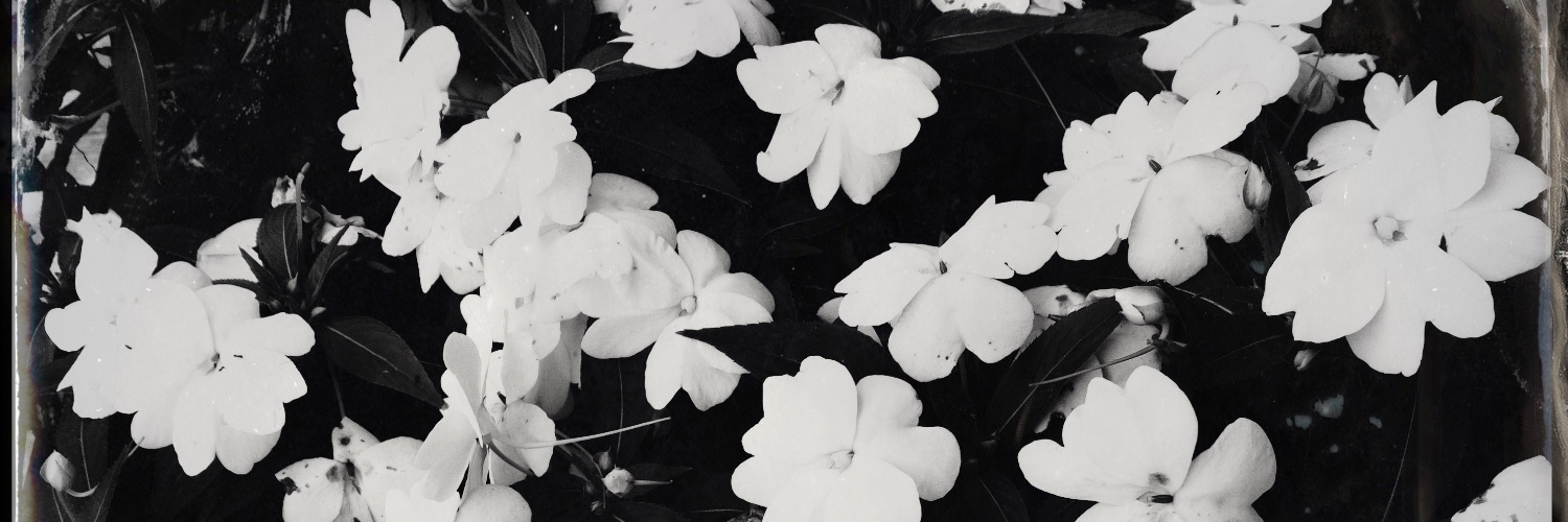 starkwork's profile banner image