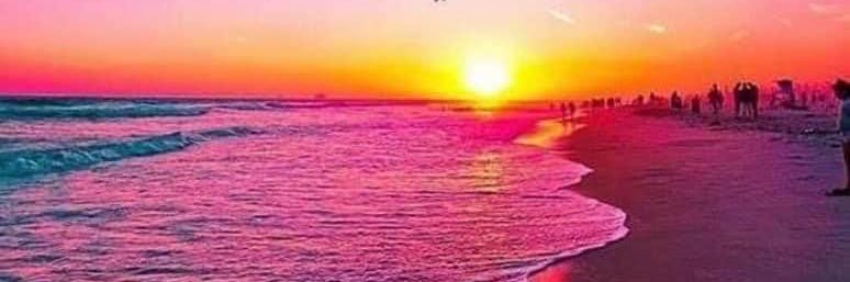 phelippa's profile banner image
