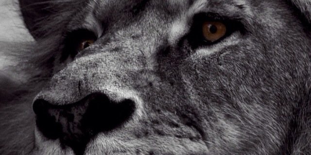 Jason_D_99's profile banner image
