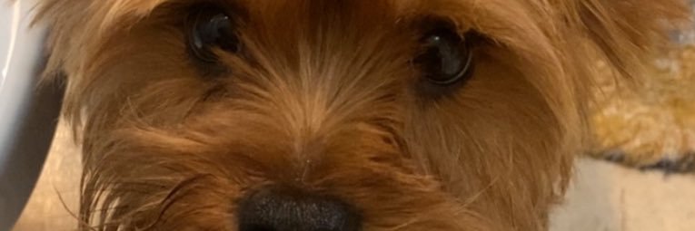 luuisalone's profile banner image