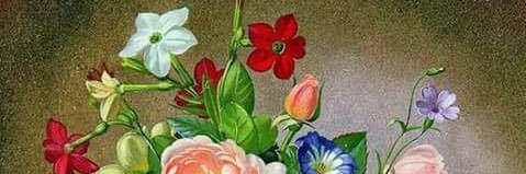 abdo_abdou's profile banner image