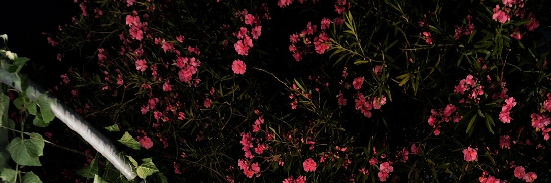99Cele19's profile banner image