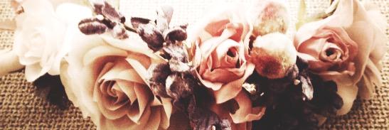 Paulaloovers's profile banner image