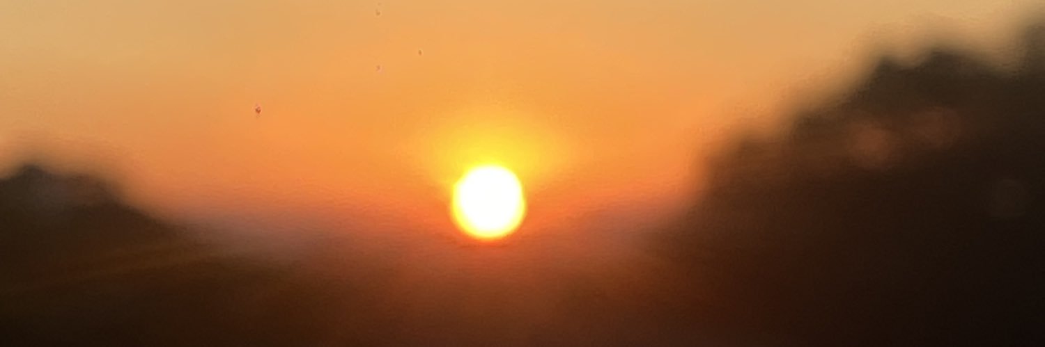 feedias29's profile banner image