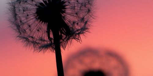 AmorEnGifs's profile banner image