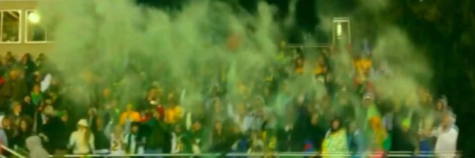 Storm Fan Section banner