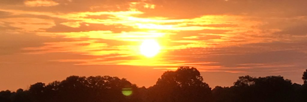 r_courson's profile banner image