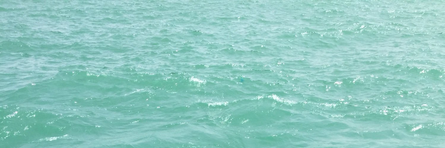 amaqueoc's profile banner image