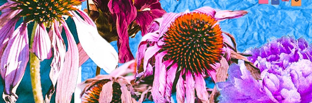 foreversafia's profile banner image