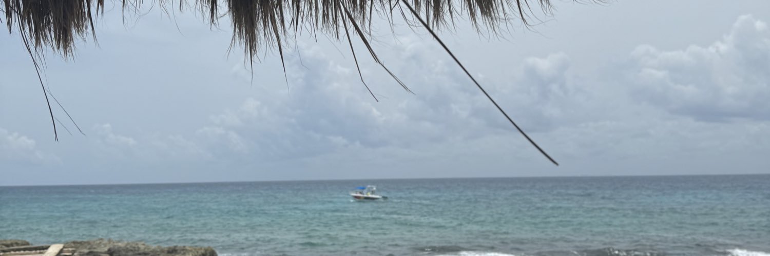 paolanan_'s profile banner image