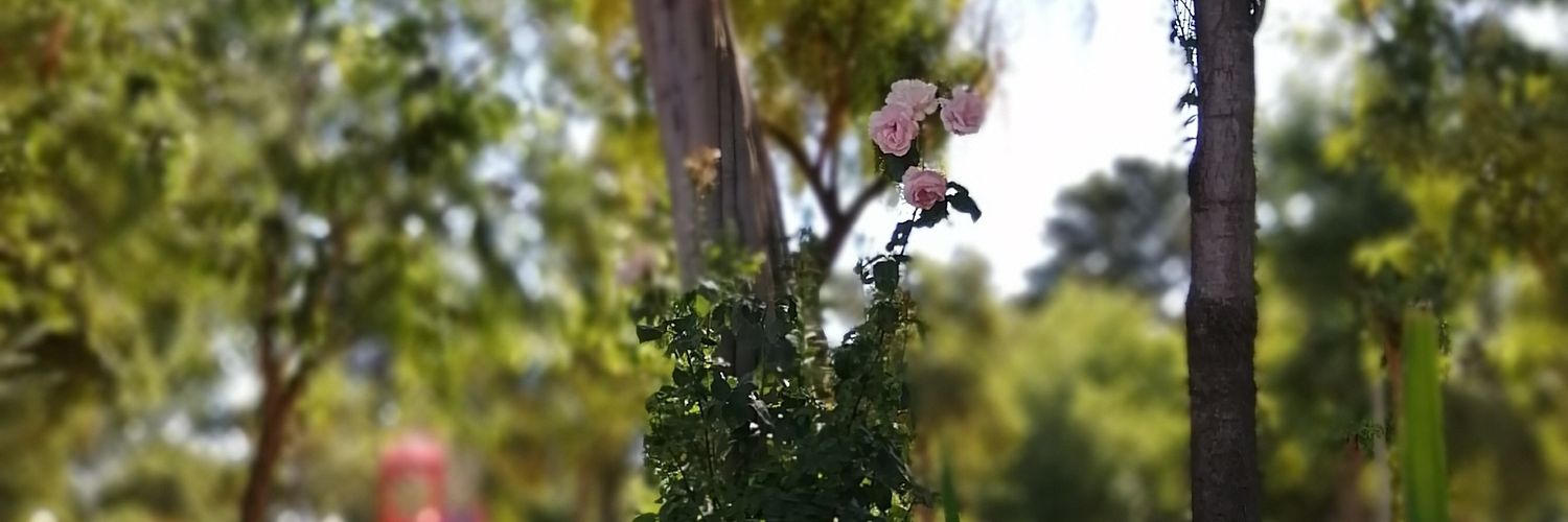 hleids's profile banner image