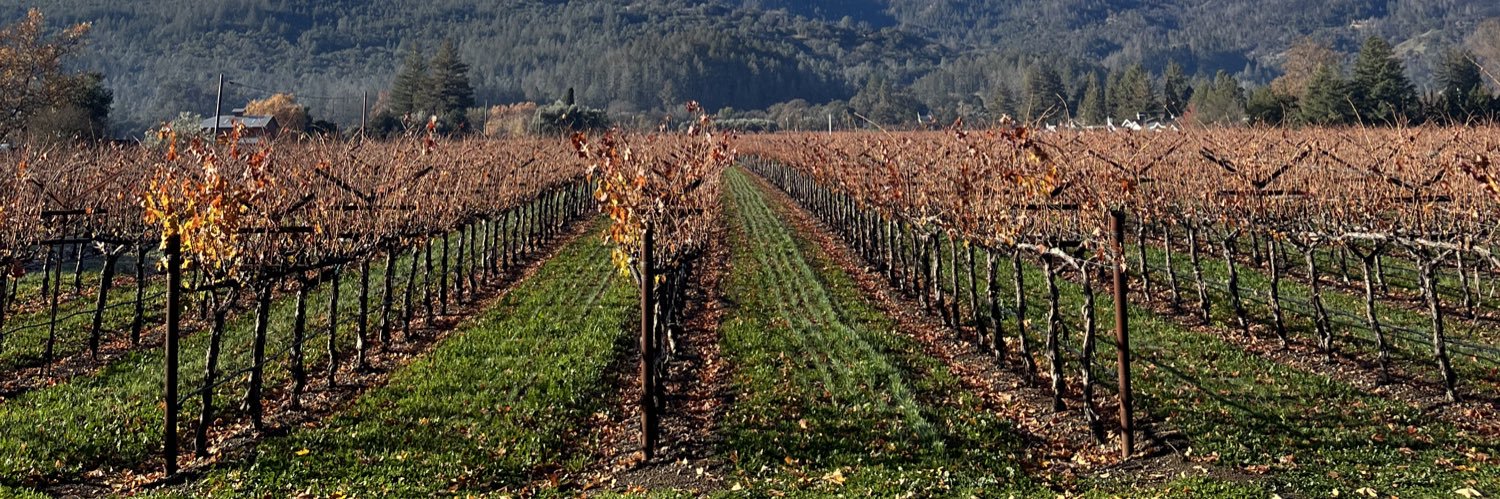 Maria(Ramos)Calvert banner