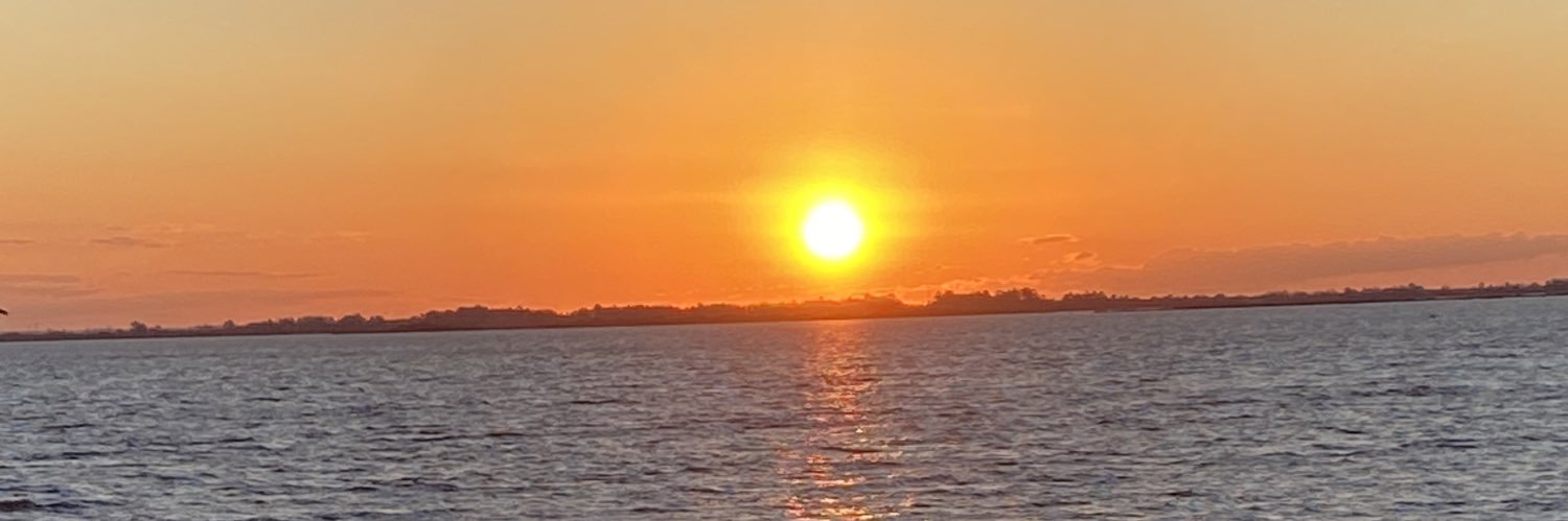 leandrolimaeng1's profile banner image
