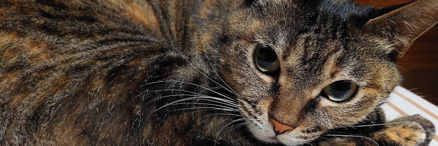 ree@( ´・_・｀) banner