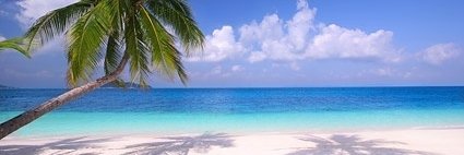 Kristin Ratkowski banner