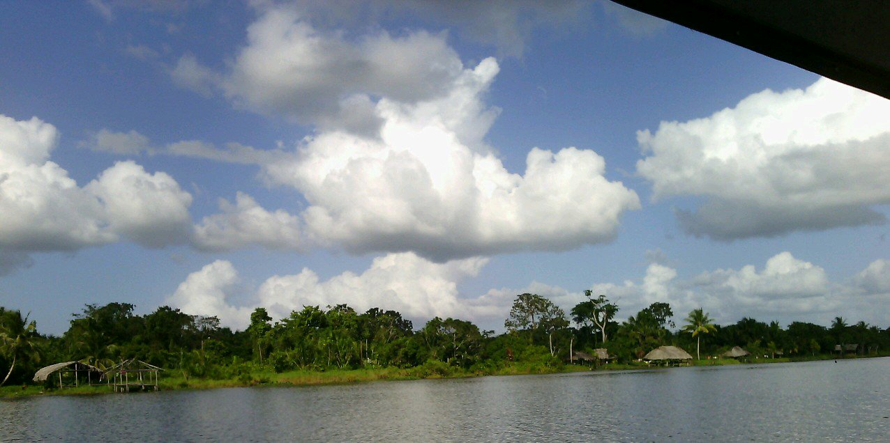 abujene86's profile banner image