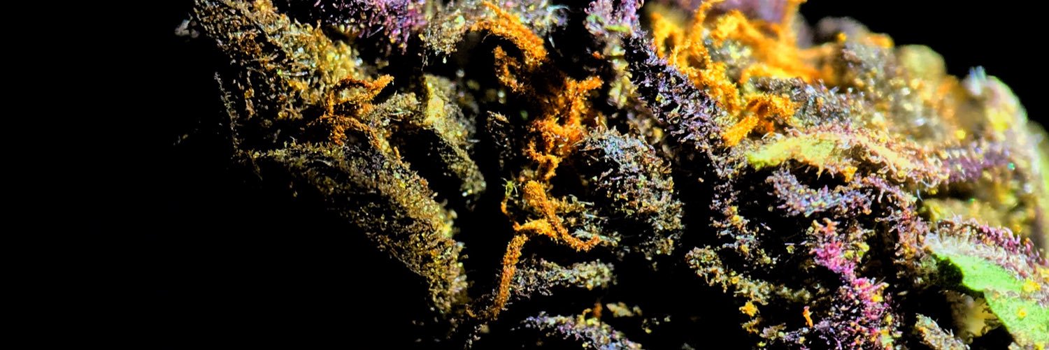 US_HEMP's profile banner image