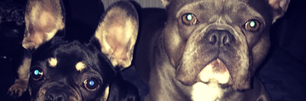 Markystweet's profile banner image