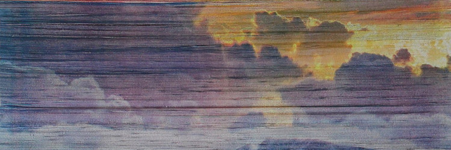 elliesher's profile banner image