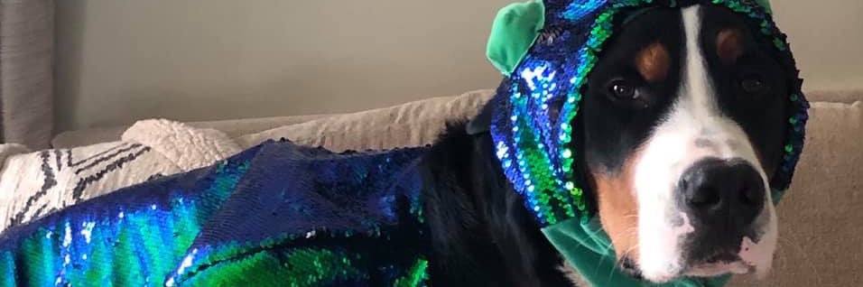 julkreutzer's profile banner image