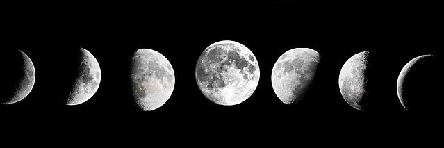 Gemma Maria Perez banner