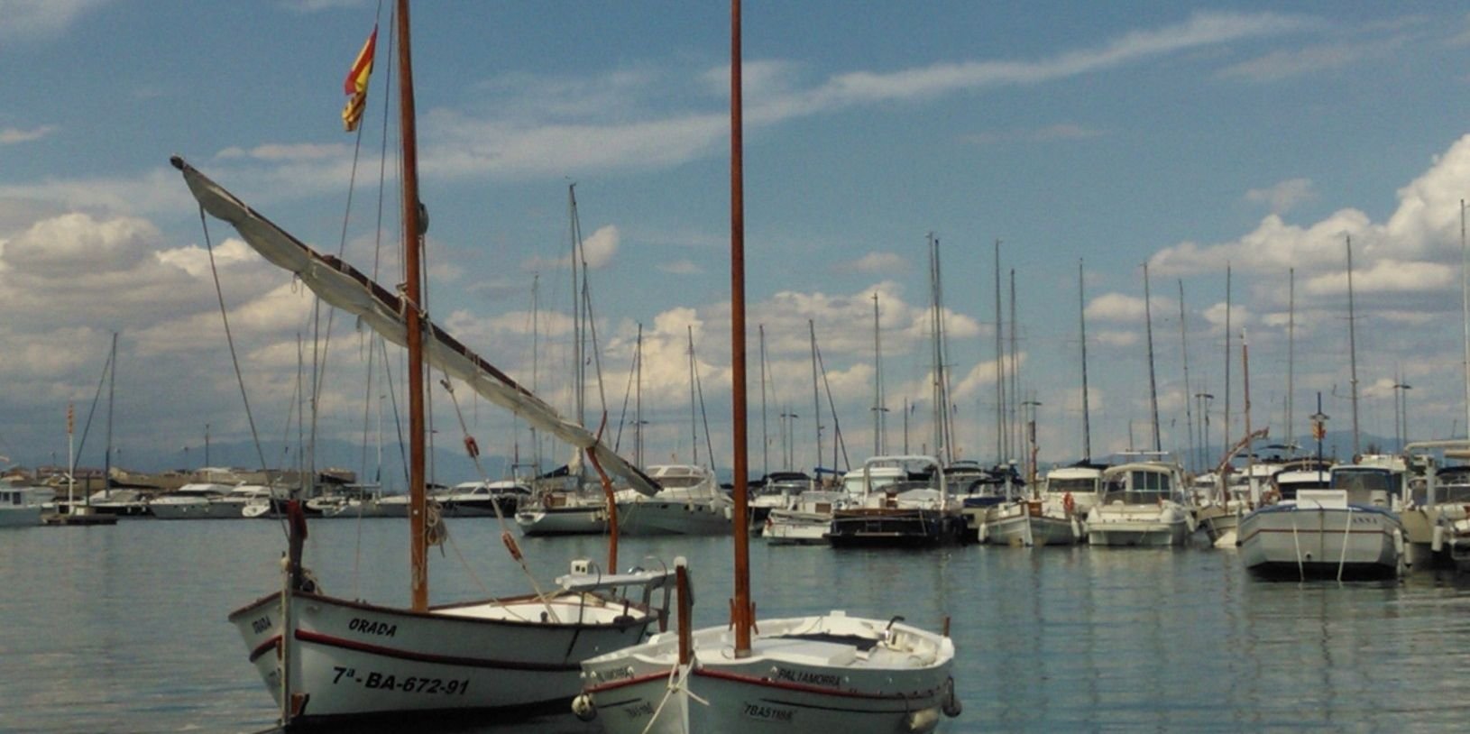 Mª José Escalera banner