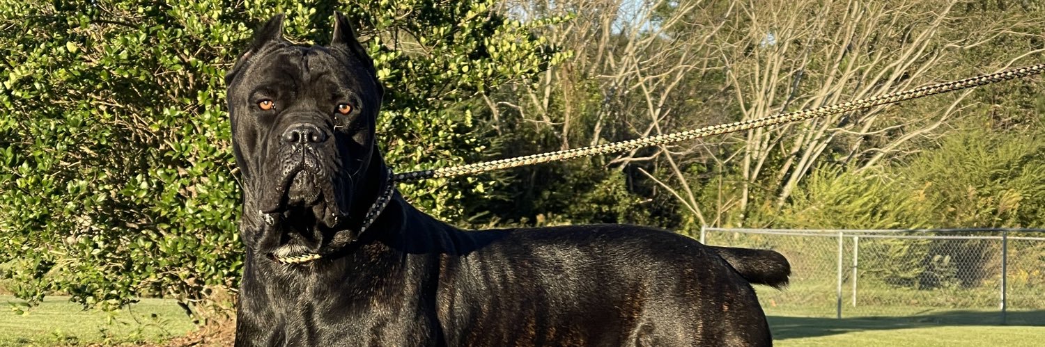 MayDaTruth's profile banner image