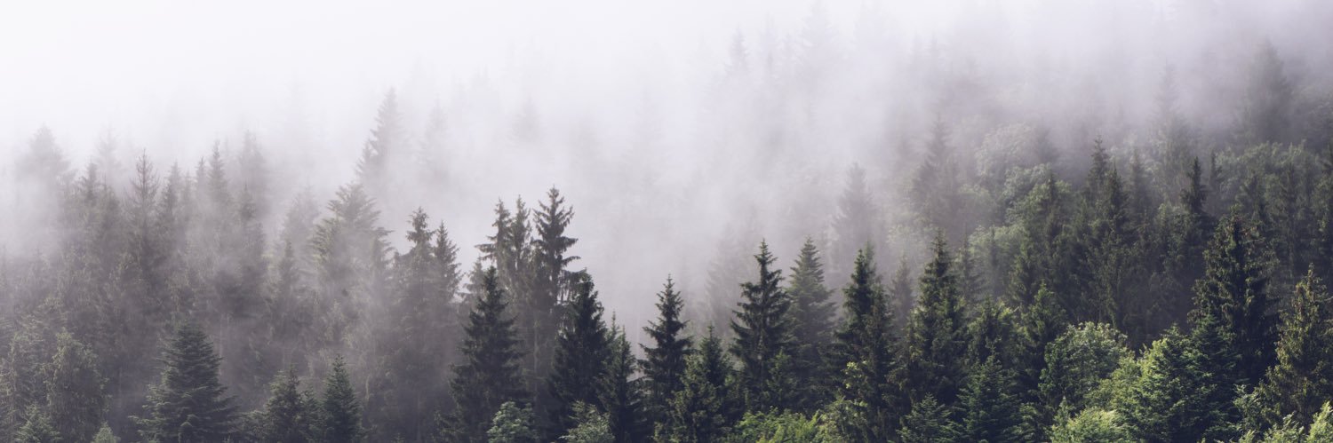 Fredrik Hammarbäck banner