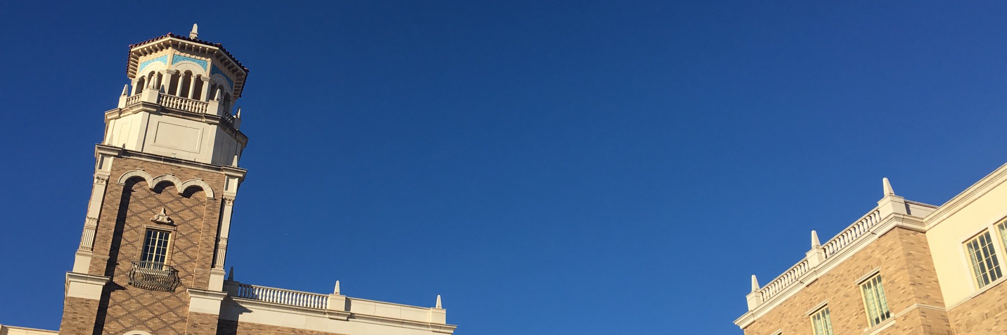 STC Chapter at TTU banner