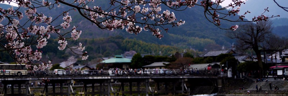 f_resonance's profile banner image