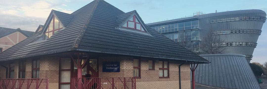 Centre for Wellbeing banner