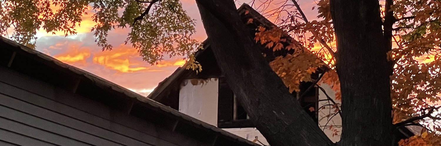 LEEBZ21's profile banner image