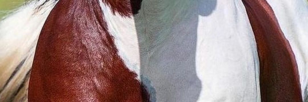 jefa0729's profile banner image