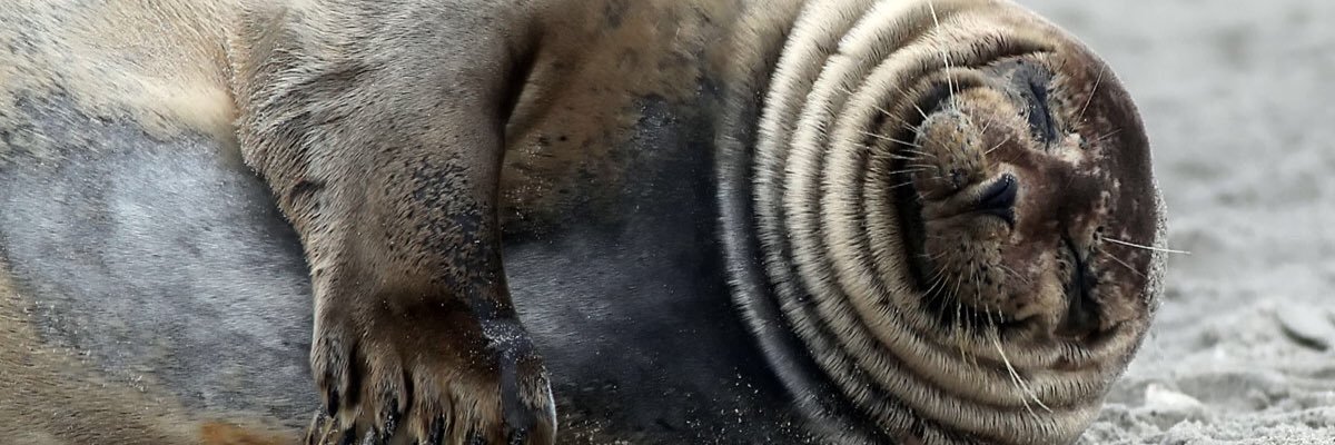 HannaAnderson18's profile banner image