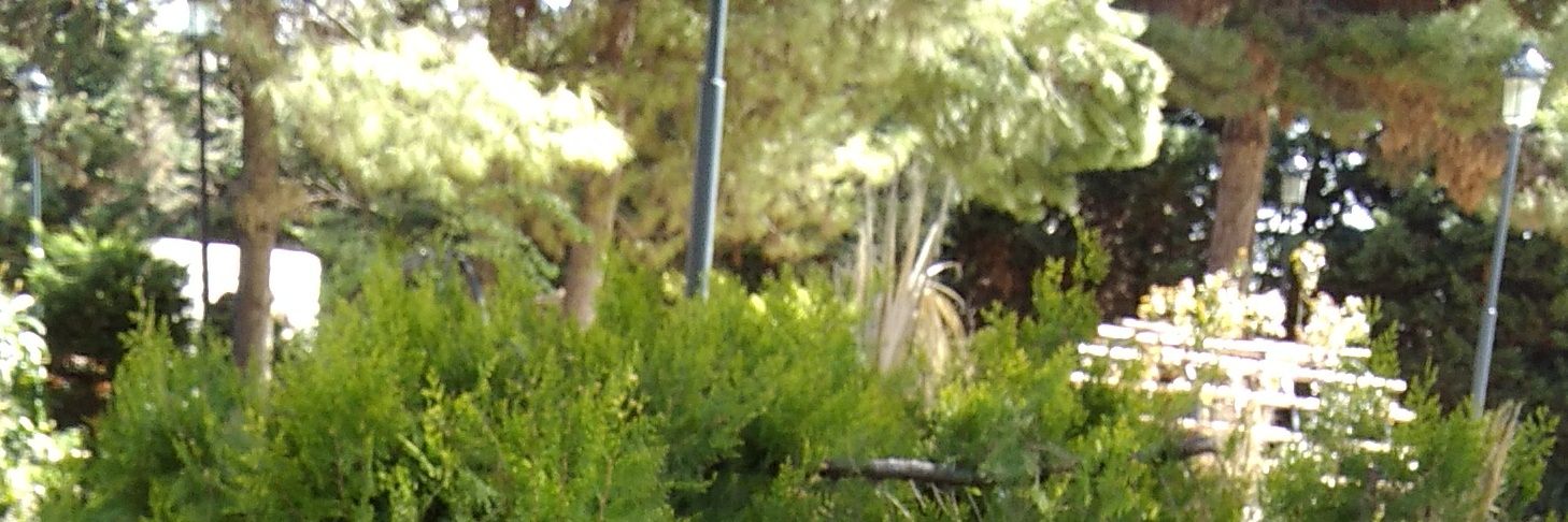 eyyupedizer's profile banner image