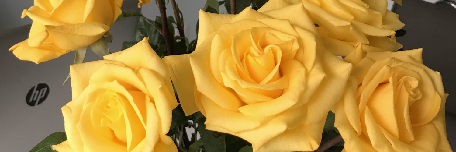 kerrylferguson2's profile banner image