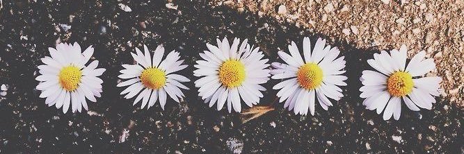 an__mm's profile banner image