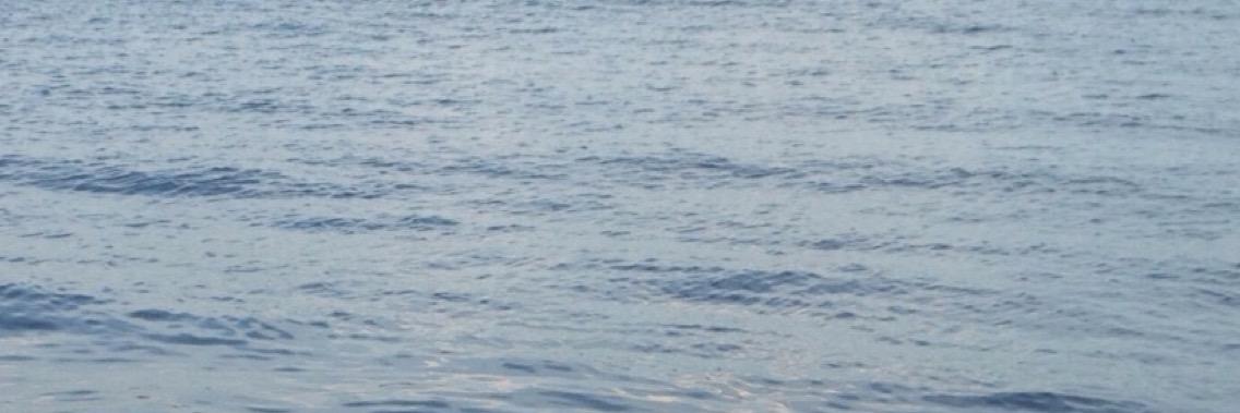 gracietaylor01's profile banner image