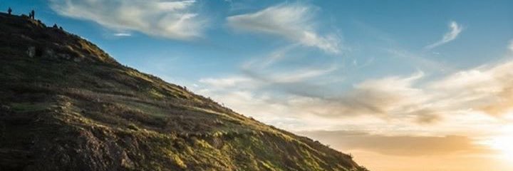 AmyBraido's profile banner image