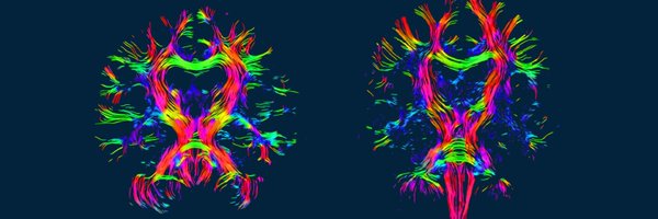 zklsmr Profile Banner