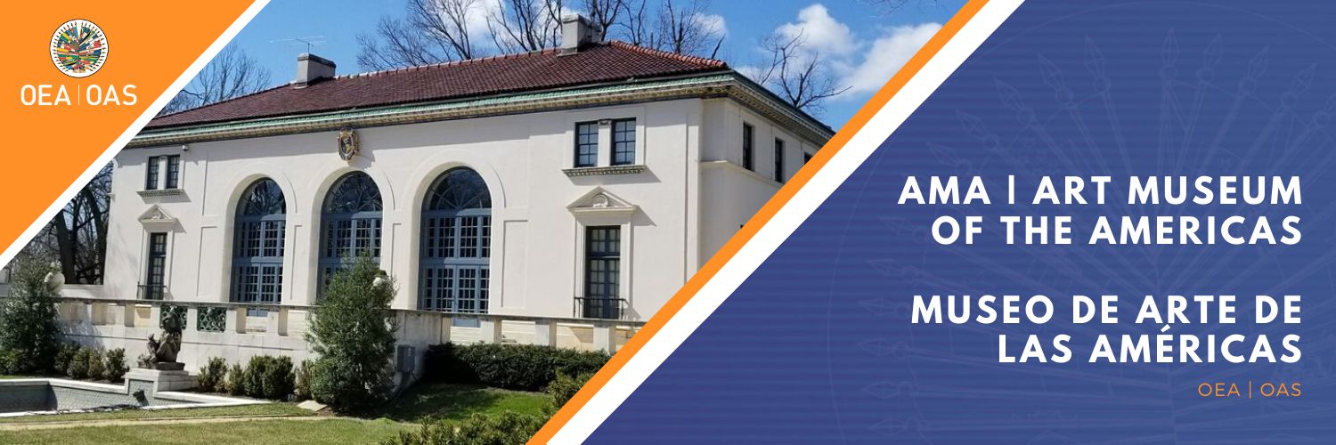 Art Museum of the Americas banner