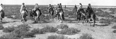 عارف الفتح banner