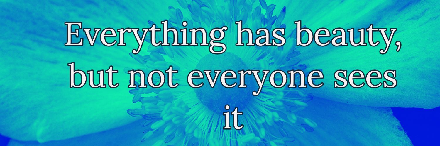 Pervez Hussain banner