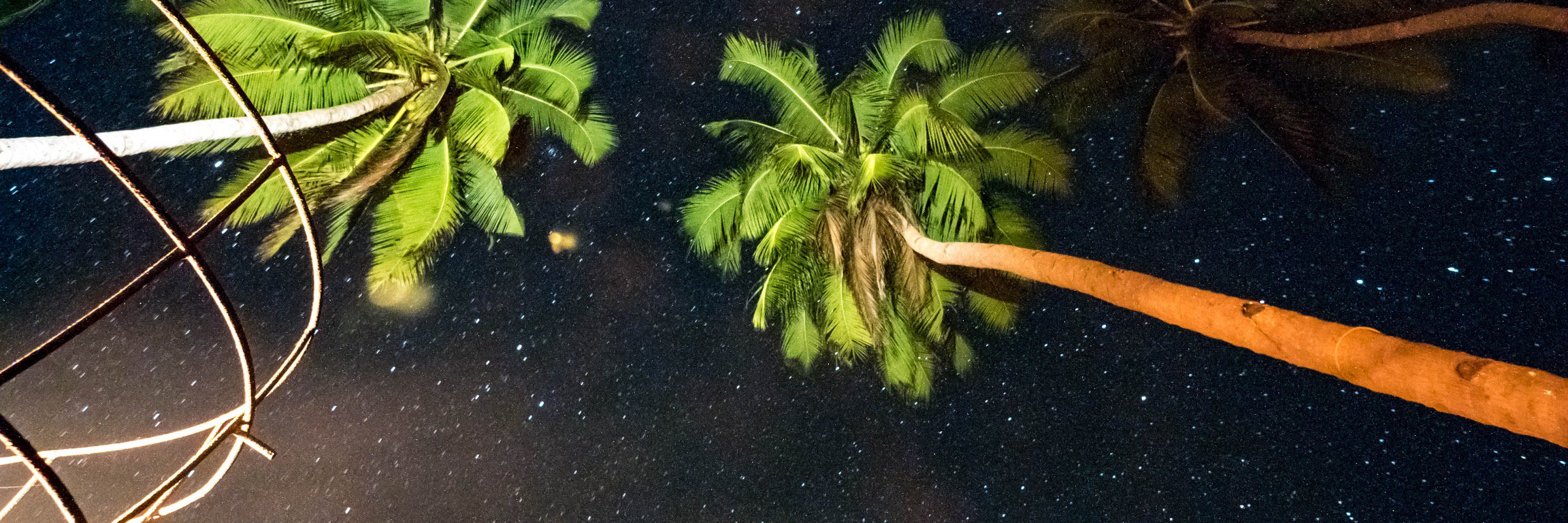 blombirdigo's profile banner image