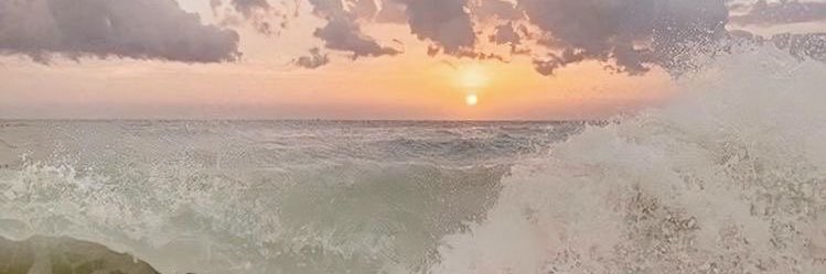 dion_ella's profile banner image