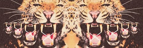 Manolo Chronic banner