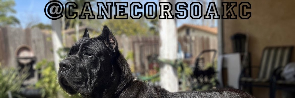 ivett_quintero's profile banner image